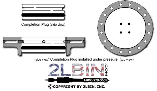 Pin Style Completion Plugs